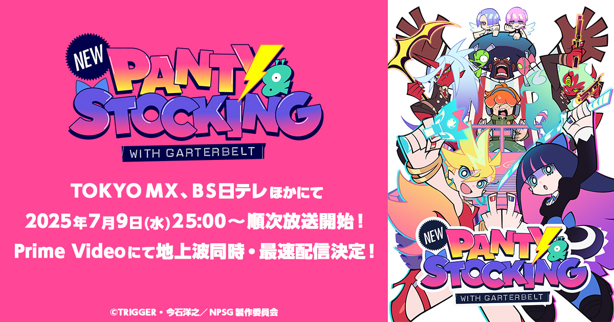 New PANTY & STOCKING with GARTERBELT